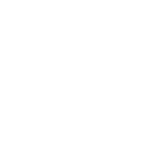 GTO_WIZARD  Logo _ Big Light